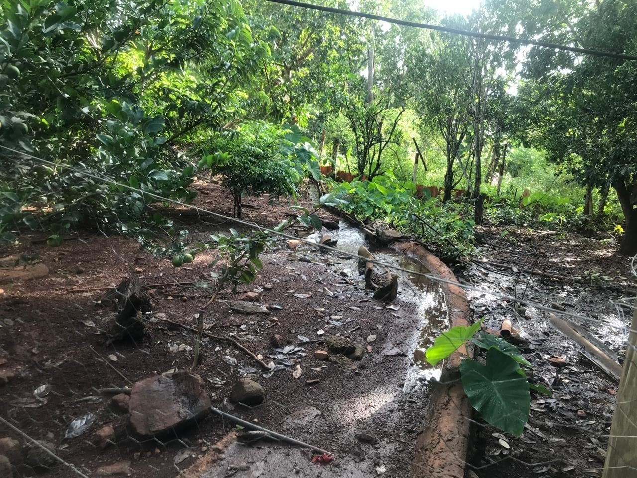 Chácara dos Sonhos a 40 km de Goiânia: Lago com Peixes, 2 Poços Artesianos, Lazer Completo e Estrutura para Produção!