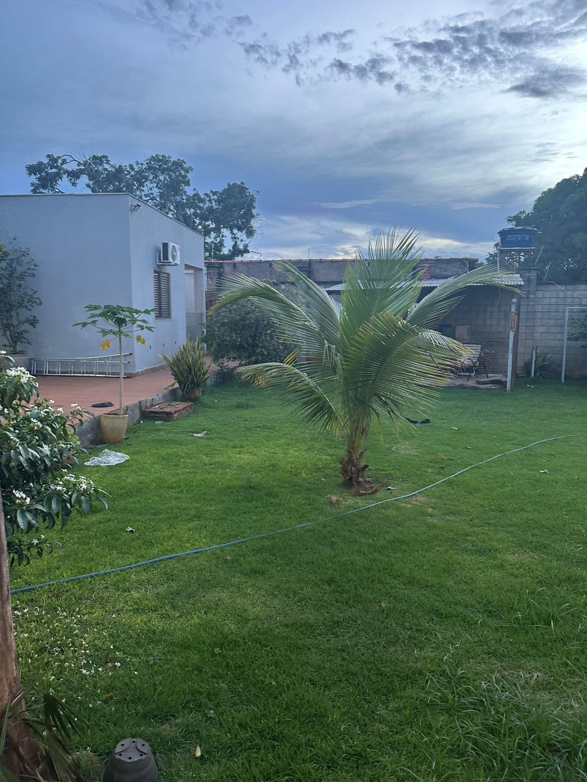 Jardim