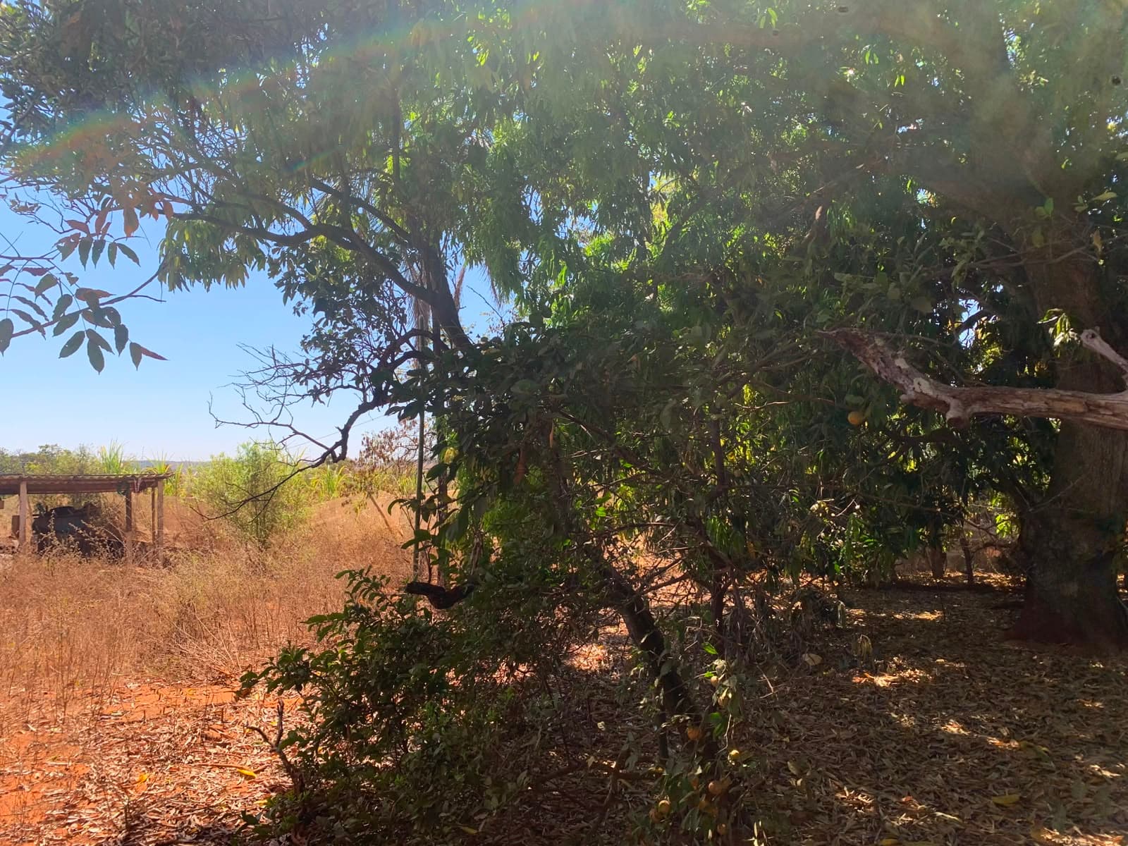 ÁREA À VENDA EM BELA VISTA DE GOIÁS PRÓXIMA À GO-020