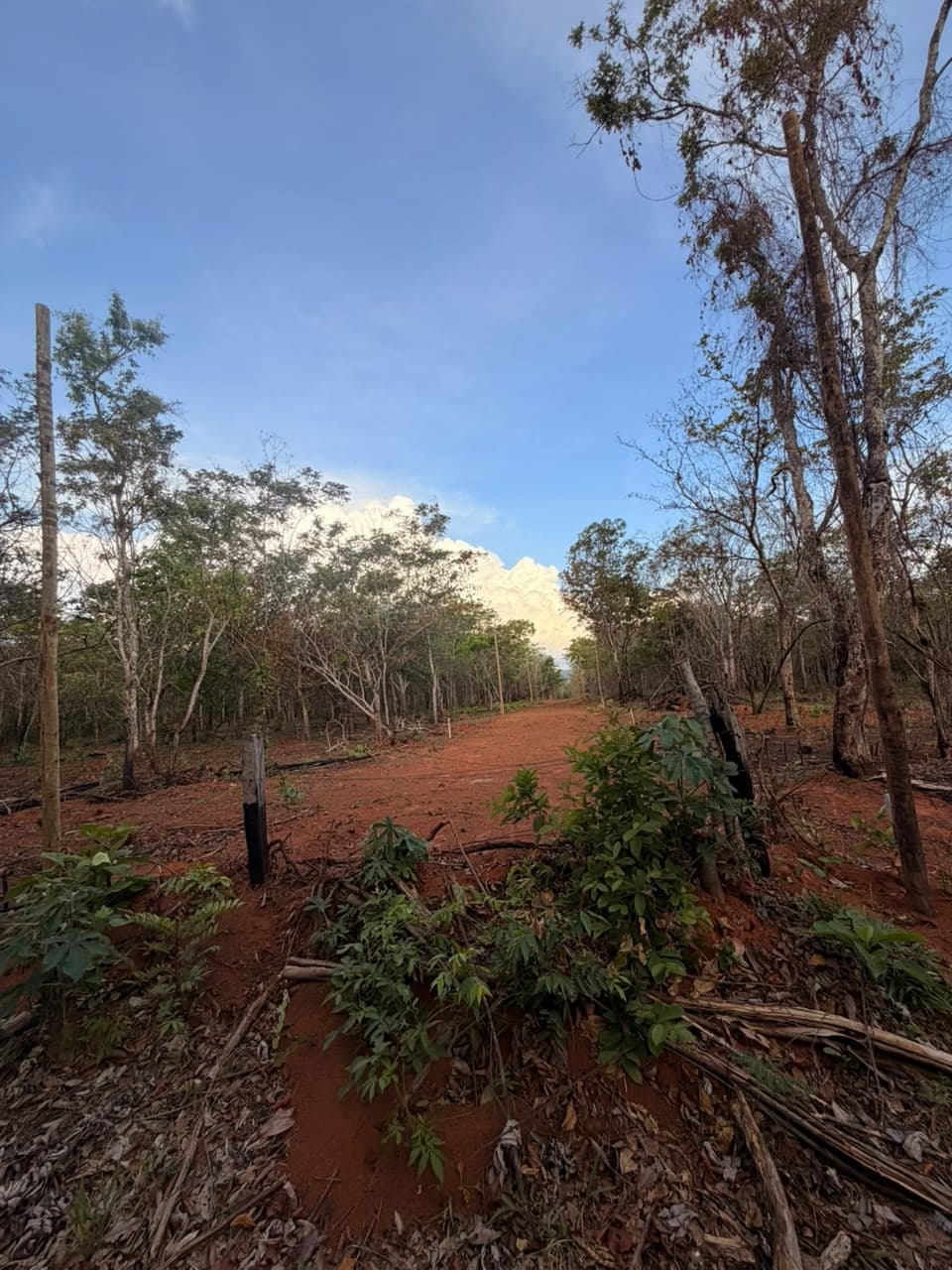 TERRENOS EM PIRENOPOLIS