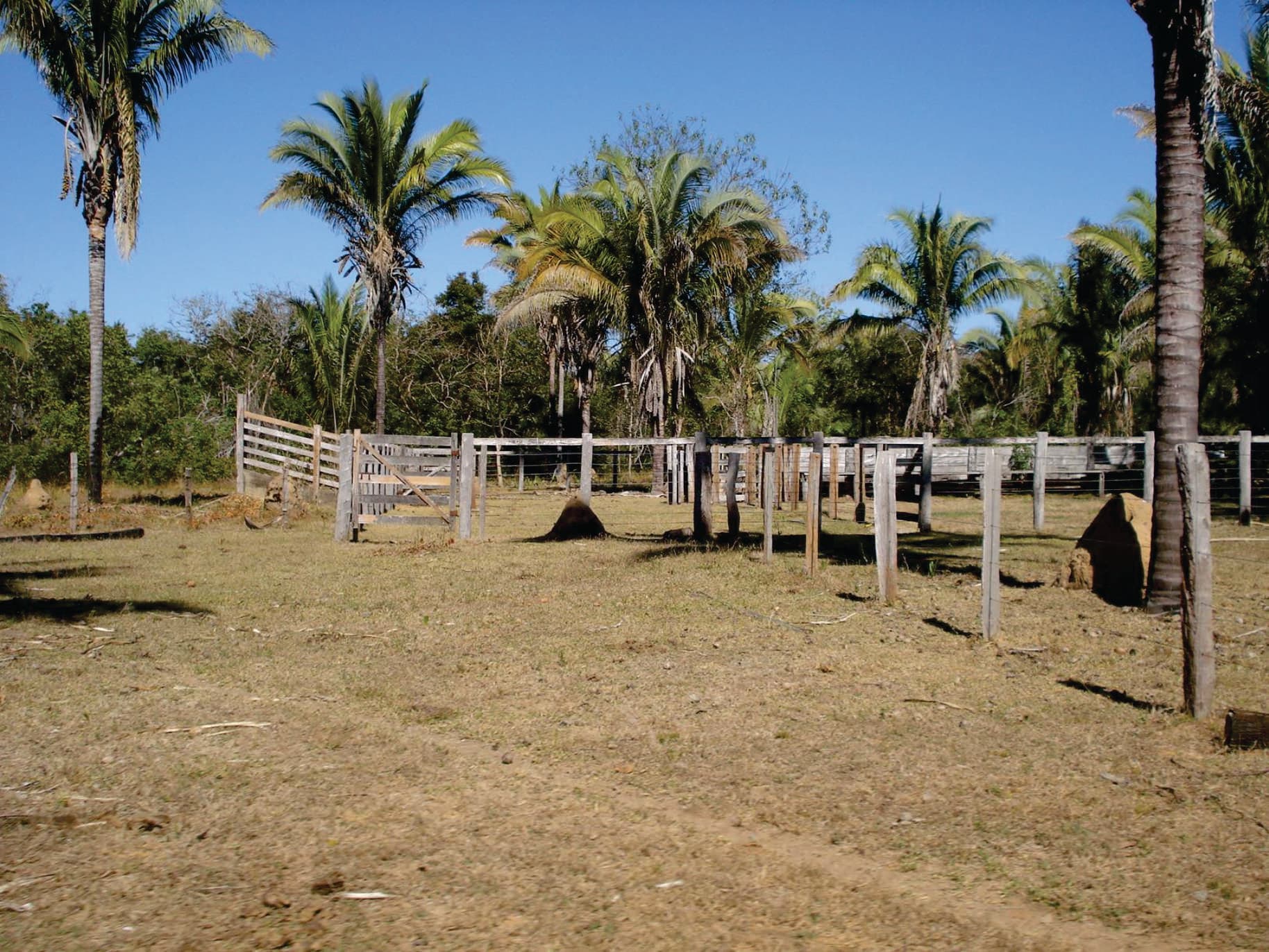Fazenda com 7.069,01 ha no município de Cocalinho Mato Grosso Divisa com Goiás e Mato Grosso