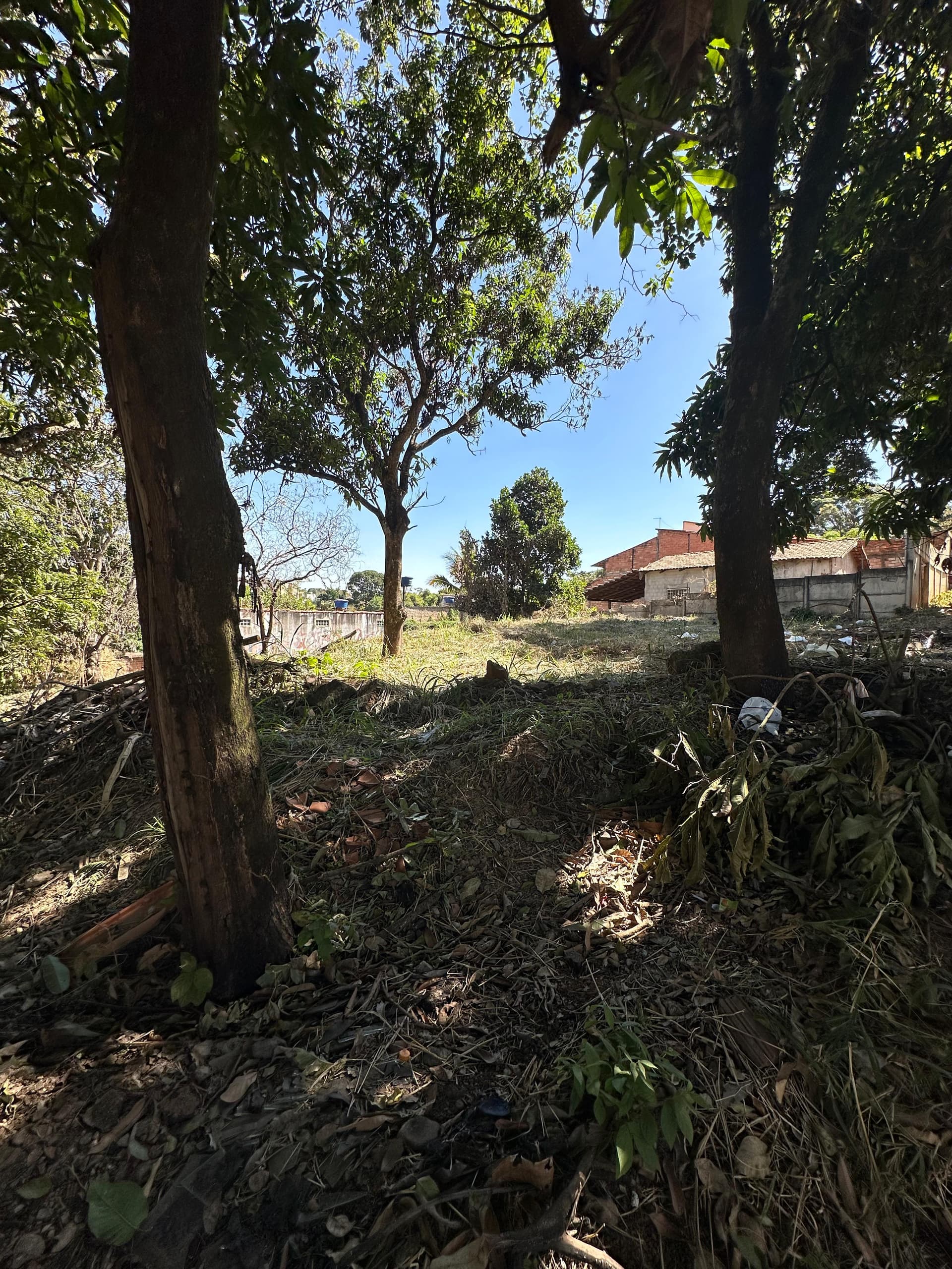 Três Lotes vizinhos na Vila Maria ao lado da Br-153 somando