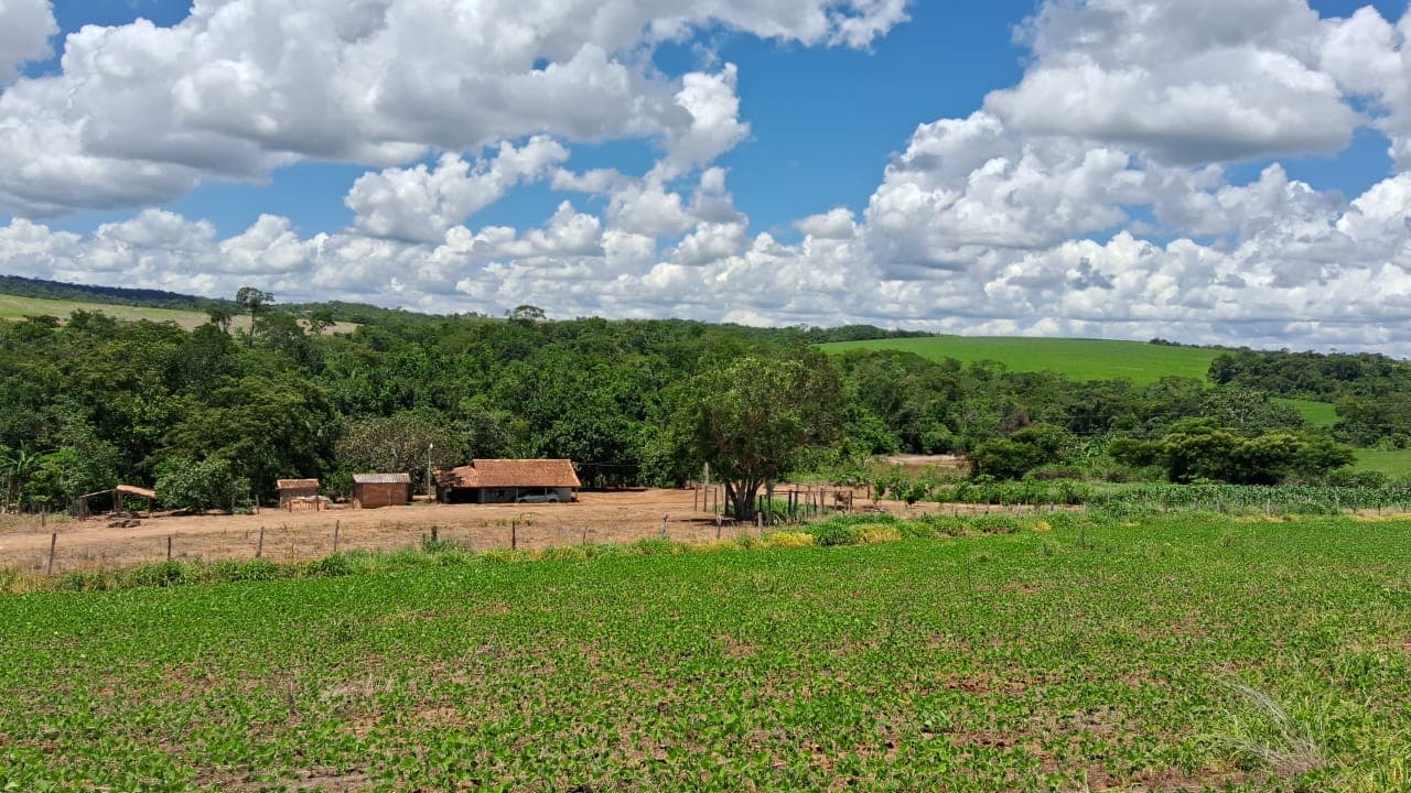 Fazenda em Silvânia Goiás 7 alqueires de terra produtiva rica em agua bem localizada oportunidade